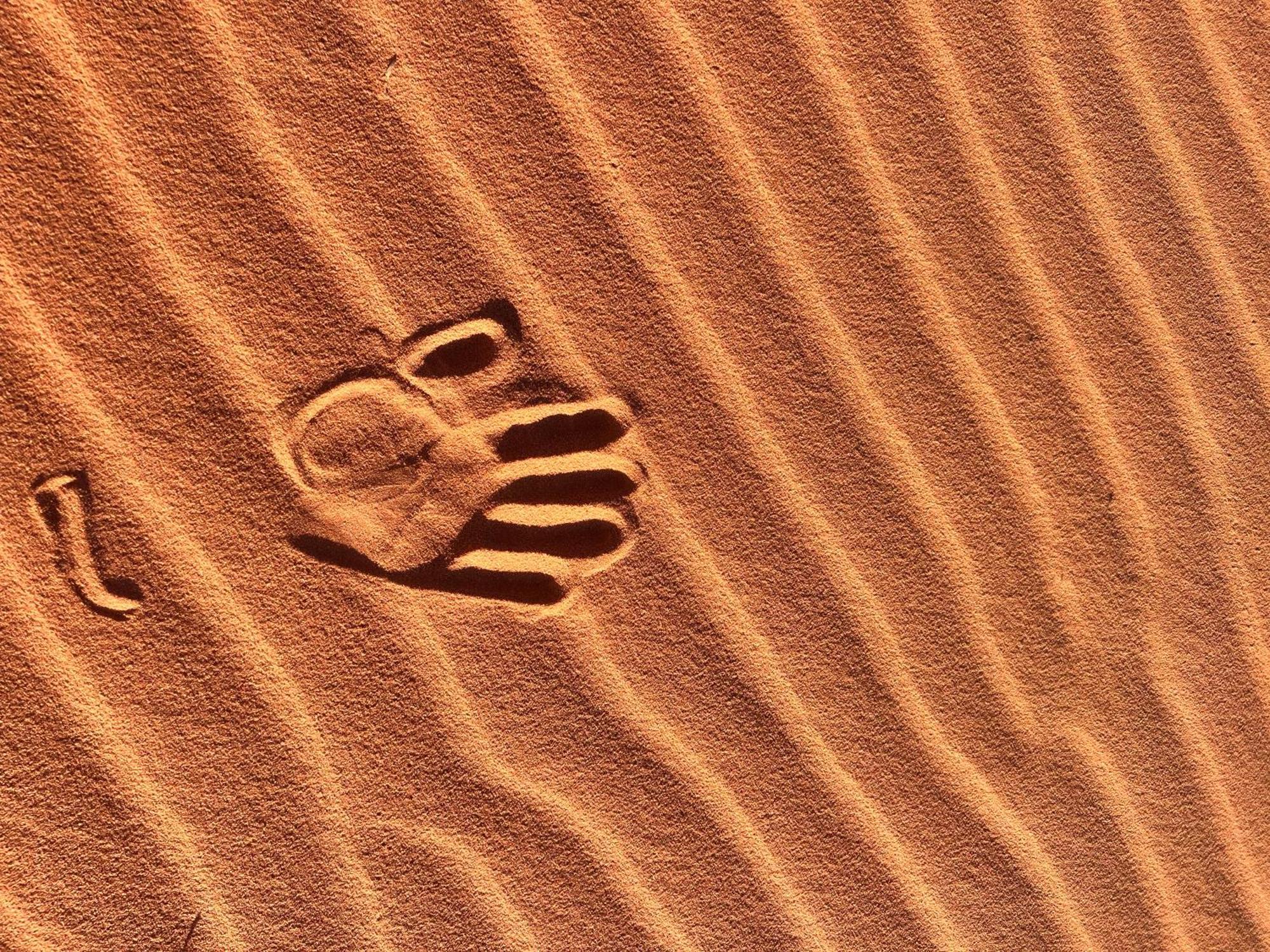 Wadi Rum Trip Exterior foto